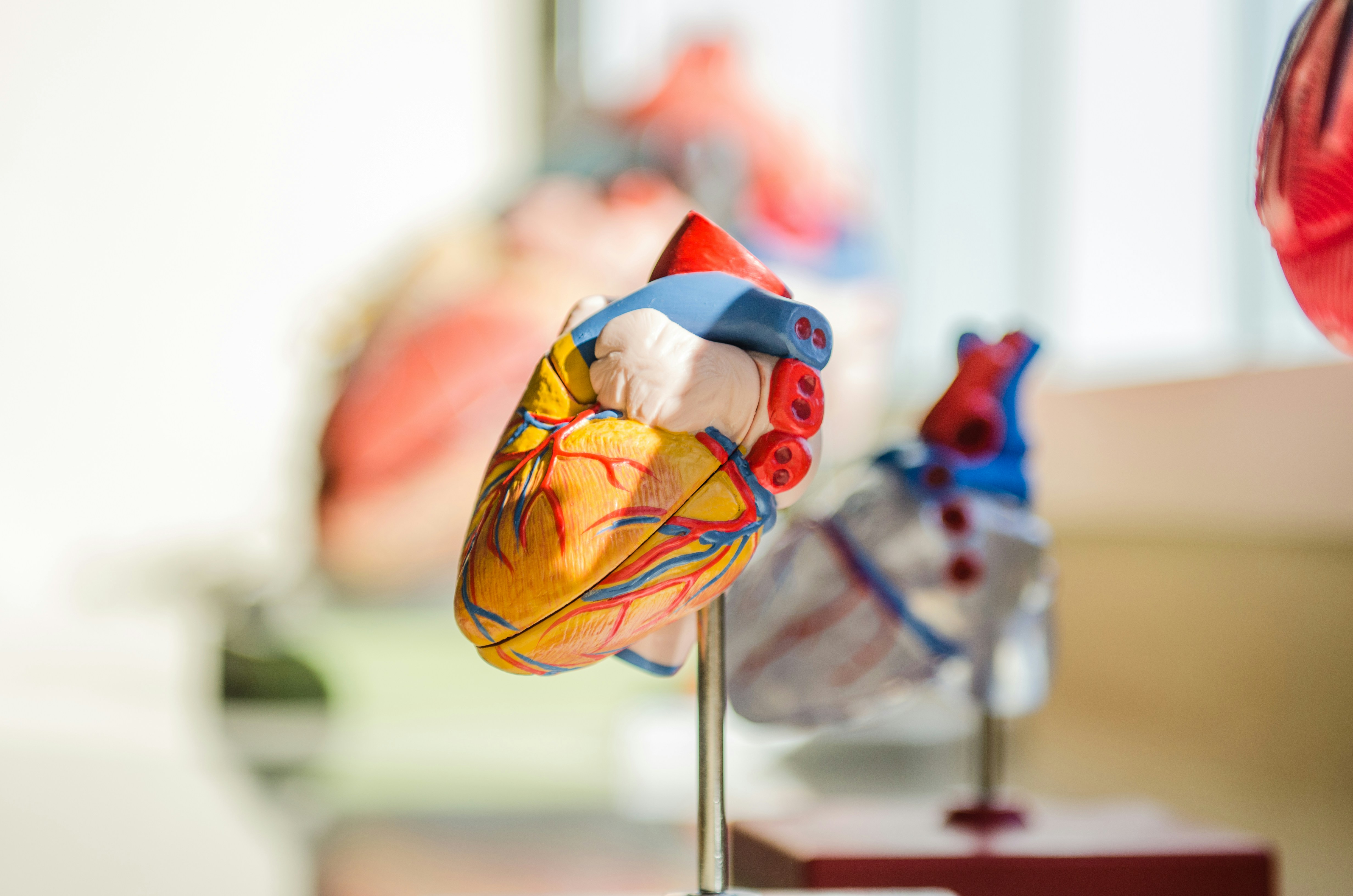 Exame cardiológico com eletrocardiograma e estetoscópio